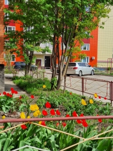 Privokzalnaya 7 Apartments