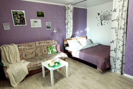 Апартаменты VGOSTIOMSK Стандарт Два раздельных спальных места