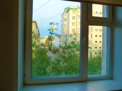 Apartment Ordzhonikidze