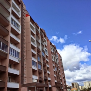 Murinskie Prudyi Apartments