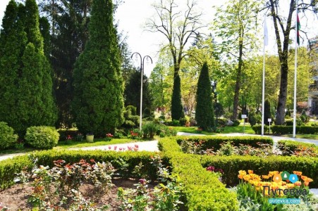 Санаторий Предгорье Кавказа, фото 6