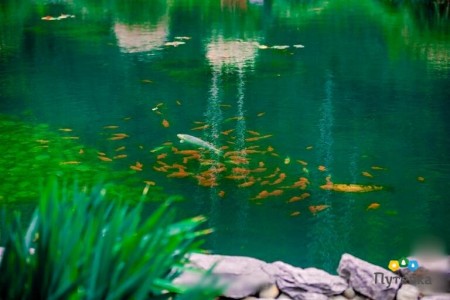 Санаторий Заря, фото 17