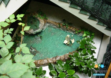 Санаторий Долина Нарзанов, фото 15