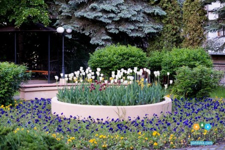 Санаторий Долина Нарзанов, фото 10