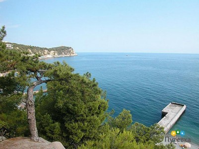 Санаторий Сосновая роща, фото 16