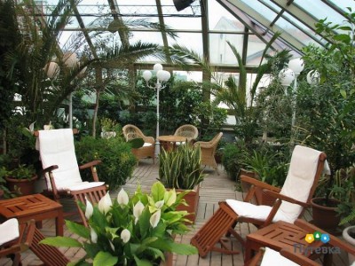 Санаторий Сосновая роща, фото 19