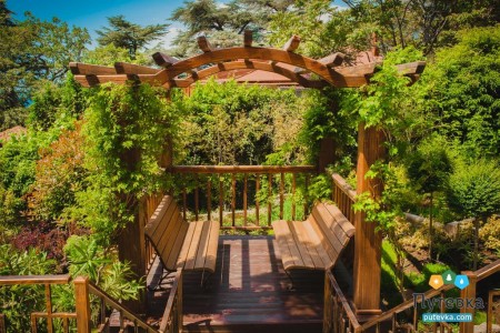 Санаторий Сосновая роща, фото 15