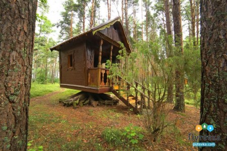 Санаторий Сосны , фото 7