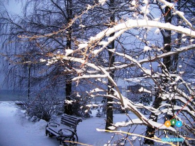 Санаторий Сосны , фото 9