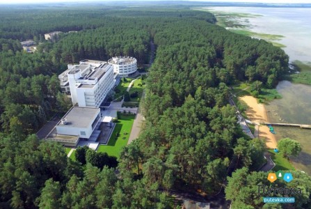 Санаторий Сосны , фото 3