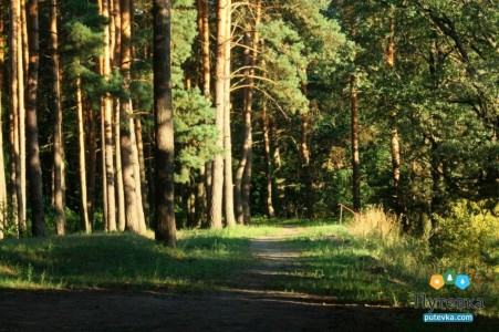 Санаторий Золотые пески , фото 5