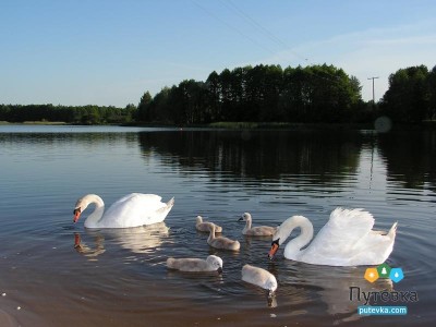 Санаторий Энергетик, фото 20