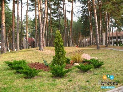 Санаторий Энергетик, фото 14