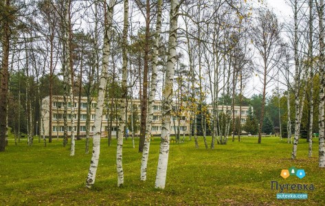 Санаторий Журавушка, фото 14