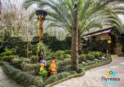 Отель Олеся, фото 5