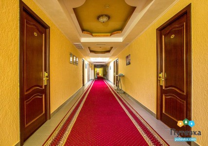 Отель Олеся, фото 9