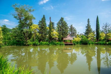 Отель Дивный, фото 25