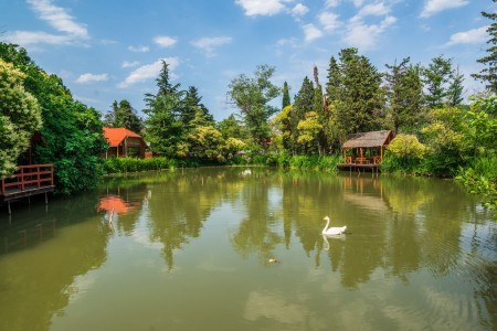 Отель Дивный, фото 26