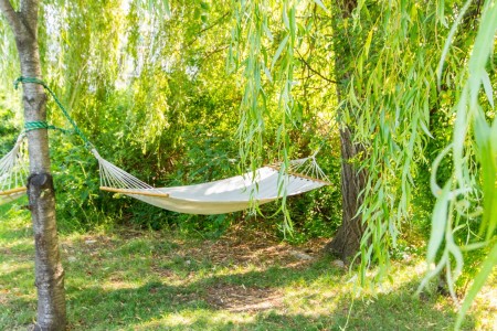 Отель Дивный, фото 9