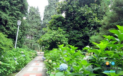 Санаторий Лазурный берег, фото 6