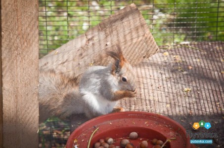 Отель Плаза (Plaza), фото 15