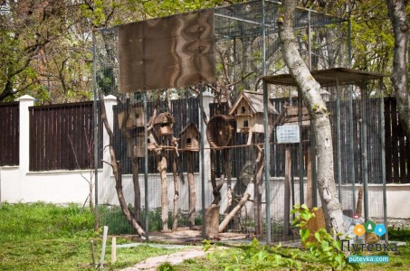 Отель Плаза (Plaza), фото 14