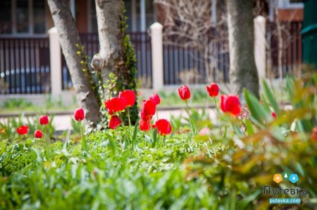 Отель Плаза (Plaza), фото 12