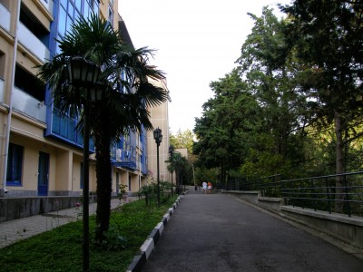 Санаторий Янтарь, фото 2