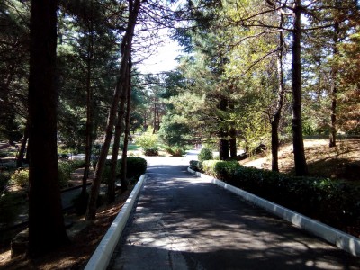 Санаторий Янтарь, фото 5