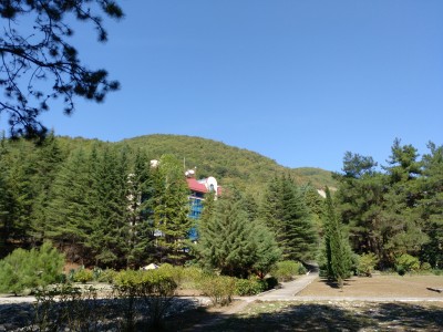 Санаторий Янтарь, фото 3