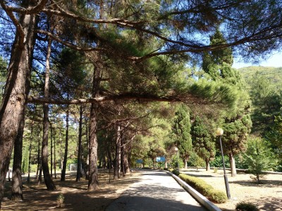 Санаторий Янтарь, фото 6