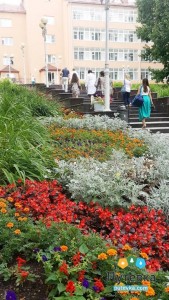 Санаторий Газовик, фото 7