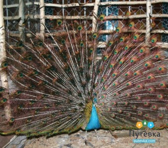 Санаторий Санта, фото 13