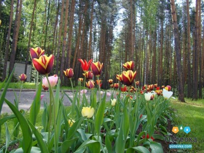 Санаторий Ясные зори, фото 4