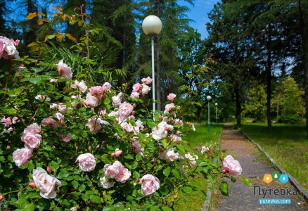 Пансионат Лагуна, фото 9