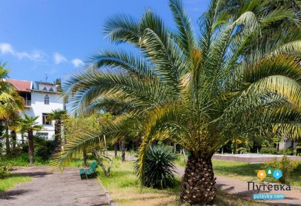 Пансионат Лагуна, фото 11