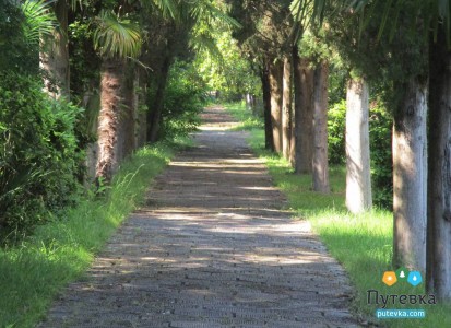 Пансионат Лагуна, фото 7