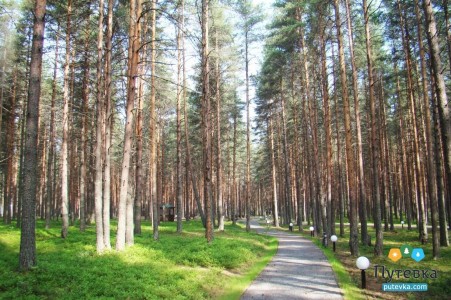 Санаторий Кивач, фото 10