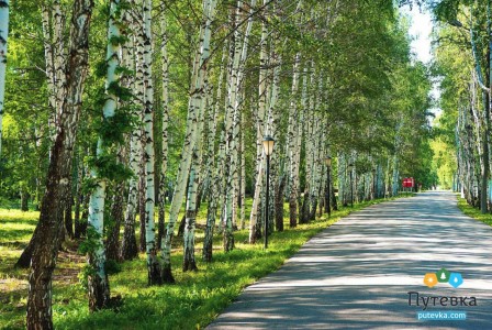 Санаторий Зеленая роща, фото 13