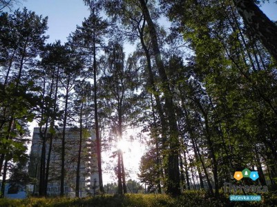 Санаторий Брестагроздравница (ex. Берестье), фото 5