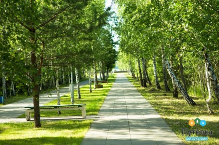 Санаторий Приморский, фото 7