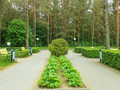 Санаторий Радуга, фото 12