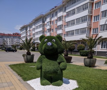 Гостиничный комплекс Русский Дом 17 (Бархатные сезоны, Спортивный), фото 7