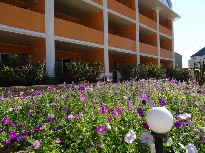Отель Гала Парадайз (Gala Paradise), фото 4