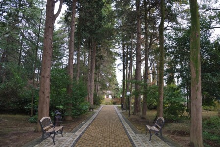 Санаторий Беларусь, фото 9