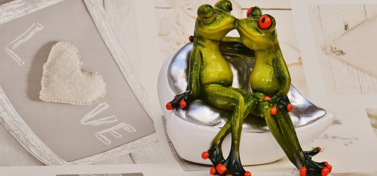 Целующиеся жабы